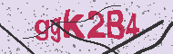 Codice captcha