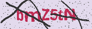 Codice captcha