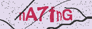 Codice captcha